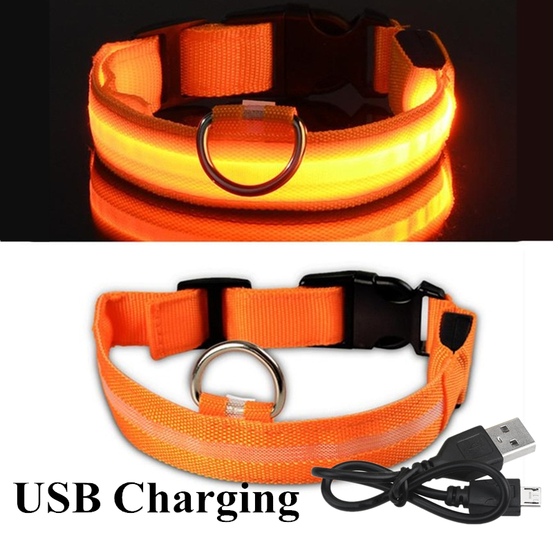 Led Dog Collar Glowing Rechargeable Usb - Colorful USB Rechargeable Pet Dog LED