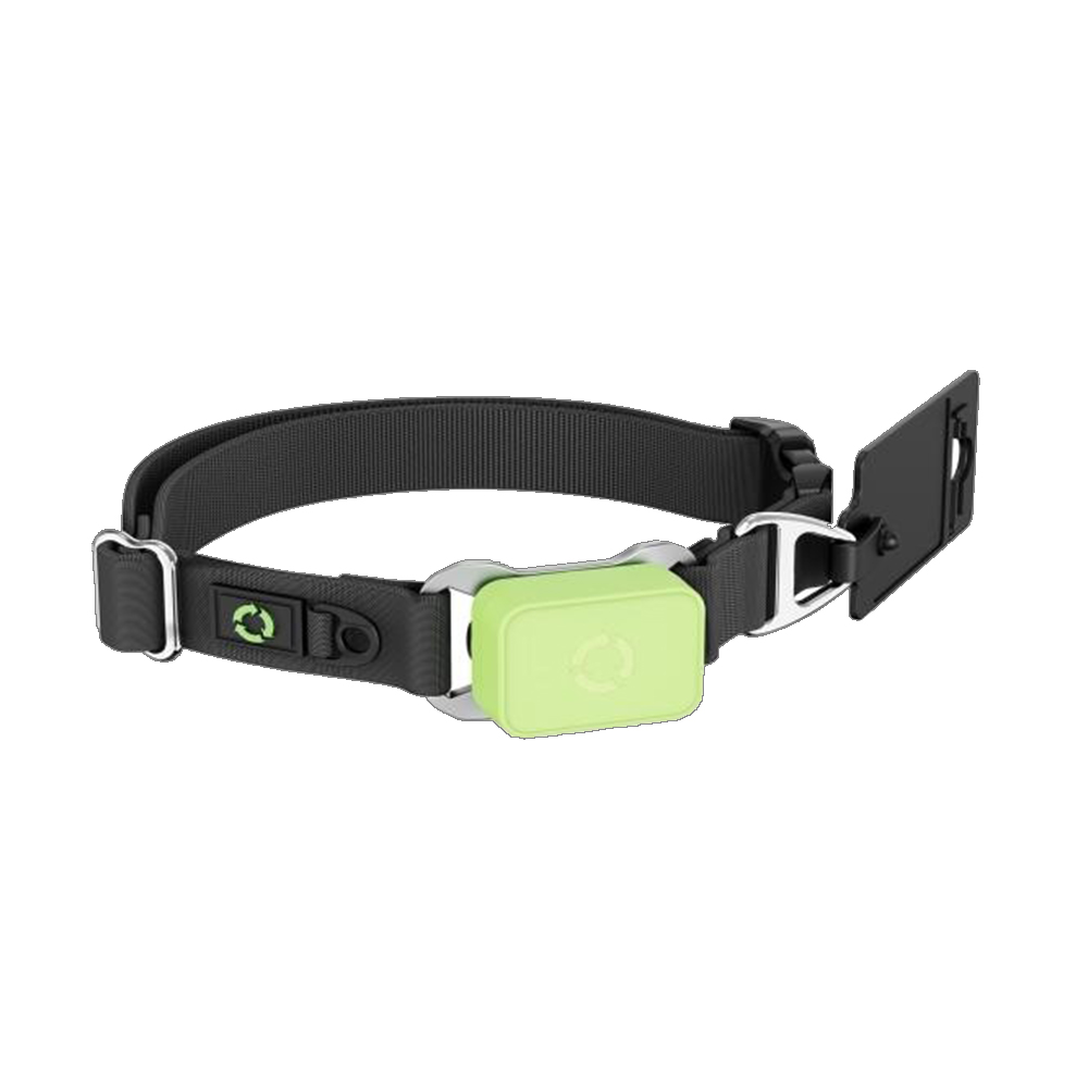 Pet Activity Health Monitor Tracker - Pet Health Tracker 24/7 Monitoring Mobile