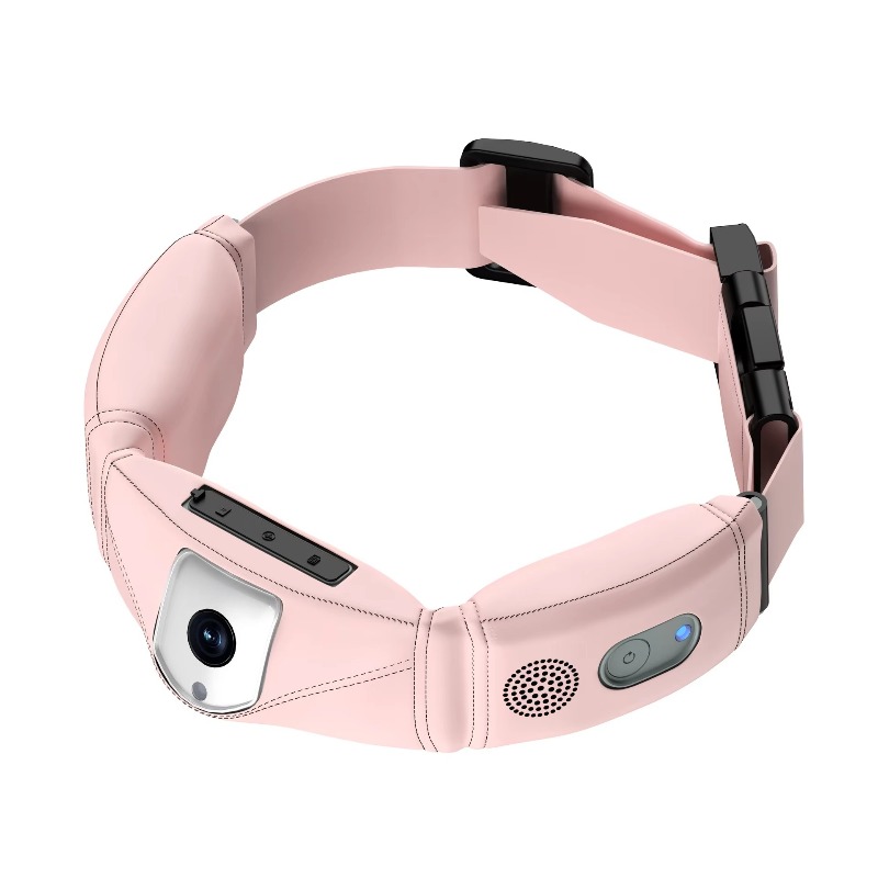 Dog Gps Tracker Collar 4G Waterproof - 4G GPS Pet Tracker Collar 4K