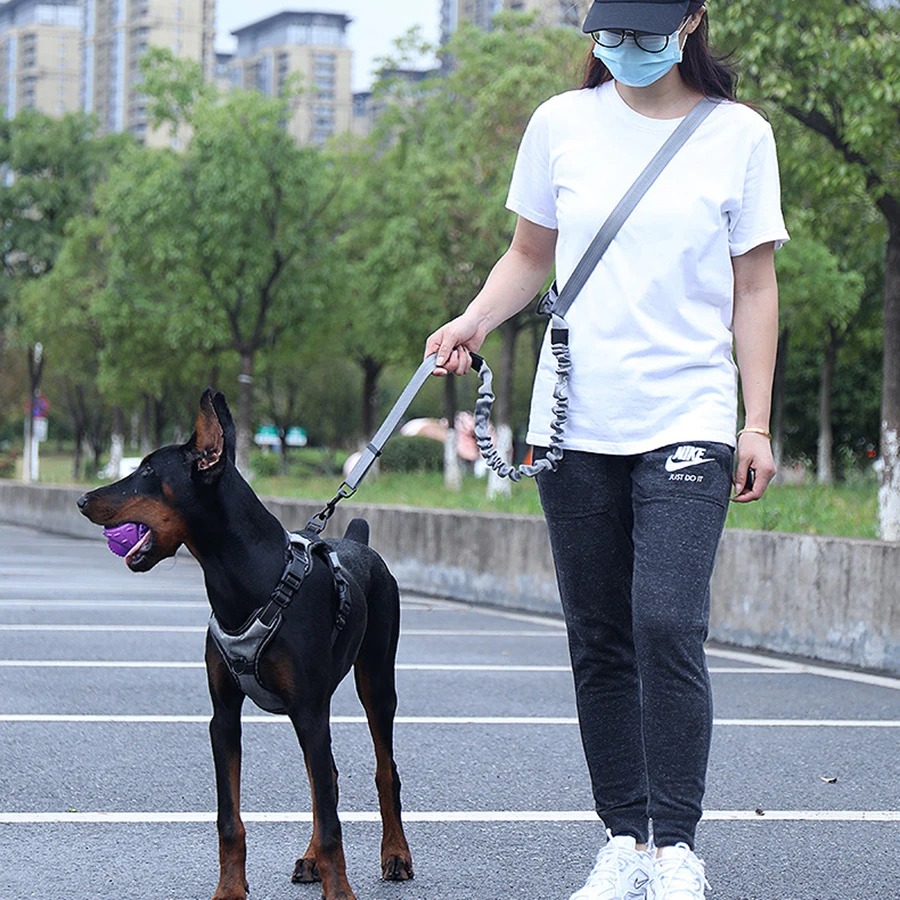 Hands Free Dog Running Leash Waist Belt - Hand Free Dog Leash for Pet