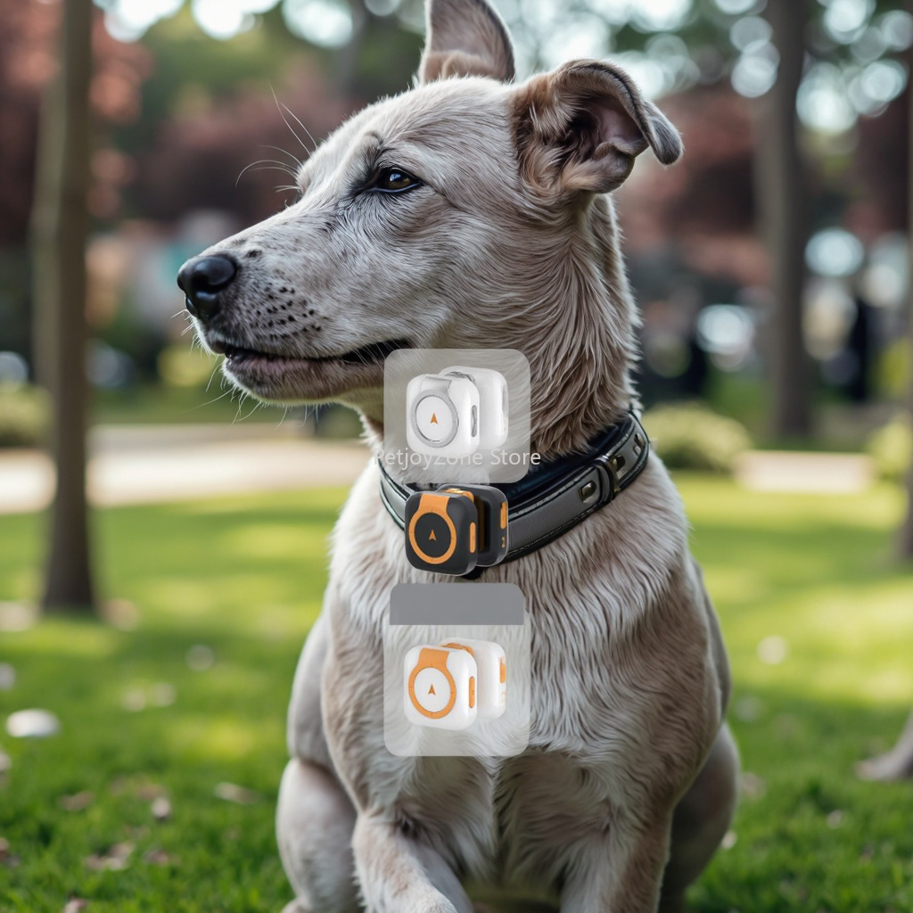 Dog Gps Tracker Collar 4G Waterproof - Popular GPS Pet Tracker Waterproof Durable