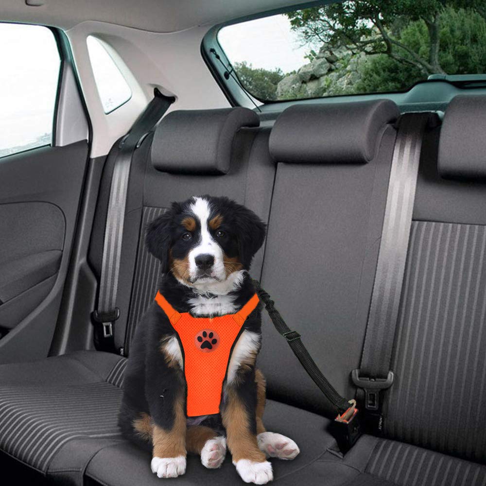Dog Seat Belt Harness Safety Tether - Chó Xe Dây Đai An Toàn