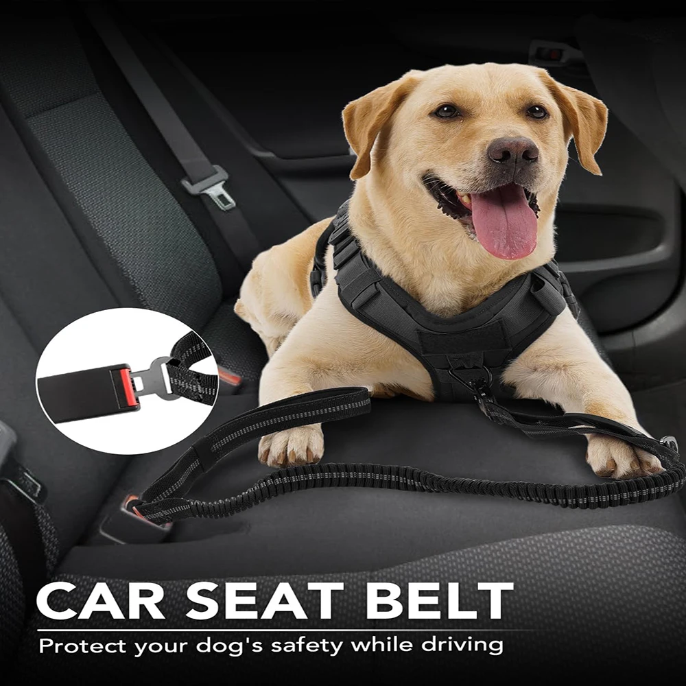 No Pull Dog Leash Reflective S - đánh giá và giá Bungee Dog Leash Shock Absorbing