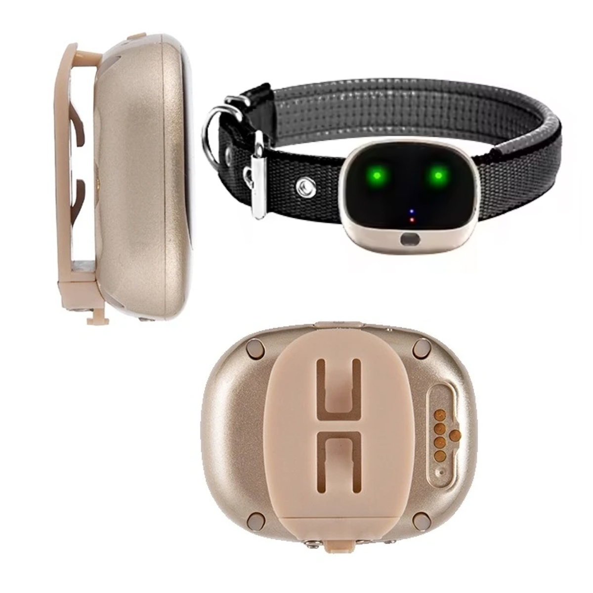 4G Waterproof Gps Tracker Pet  - đánh giá và giá Dog Gps Tracker Collar 4G Waterproof