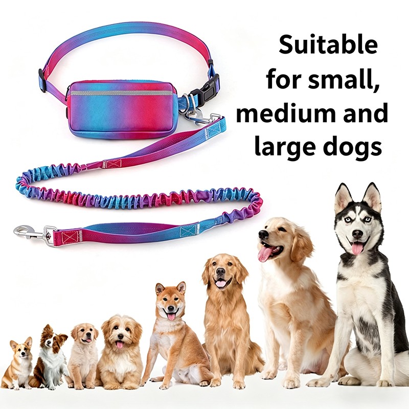 Dogs leash running elasticity  - đánh giá và giá Hands Free Dog Running Leash Waist Belt