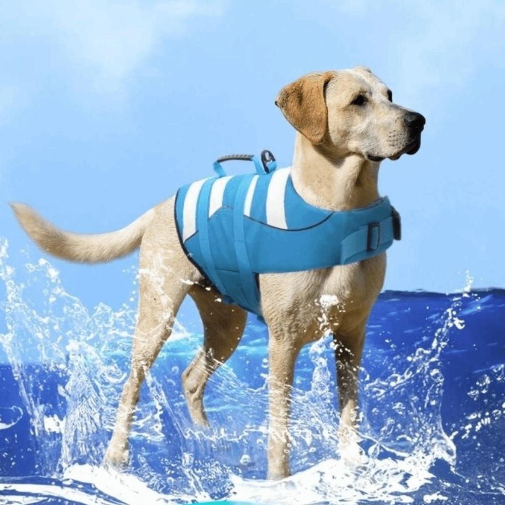 Reflective Dog Life Jacket Sup - đánh giá và giá Dog Life Jacket Vest Buoyancy Handle
