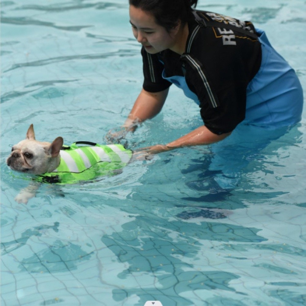 Reflective Dog Life Jacket Sup - đánh giá và giá Dog Life Jacket Vest Buoyancy Handle