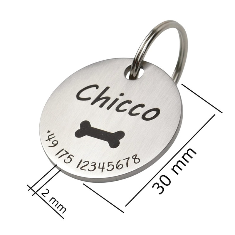 Customized Double-Sided Engrav - đánh giá và giá Reflective Dog Collar Personalized Engraved