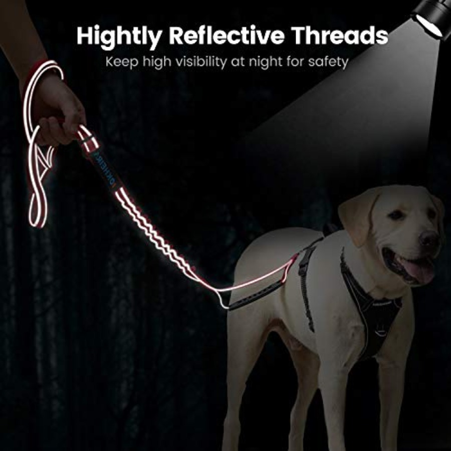6Ft/4Ft Dog Leash Rope for Lar - đánh giá và giá Heavy Duty Dog Leash Rope 6Ft Padded