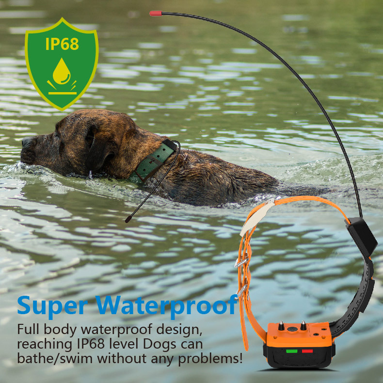 4G GPS Dog Collar with Radio T - đánh giá và giá Hunting Dog Tracking Collar Gps Radio