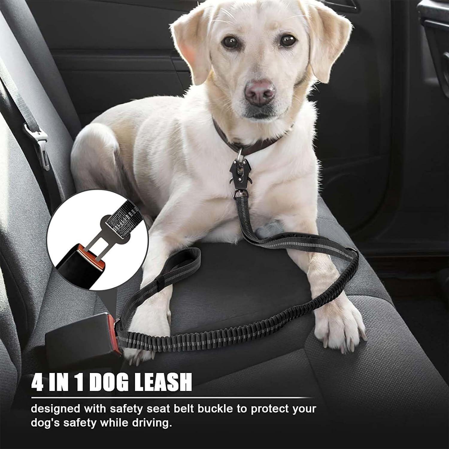 Reflective Shock Absorbing Pet - đánh giá và giá Bungee Dog Leash Shock Absorbing