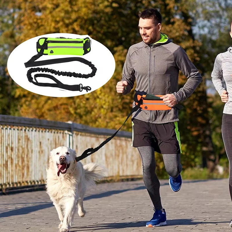 Hands Free Dog Leash for Runni - đánh giá và giá Hands Free Dog Running Leash Waist Belt