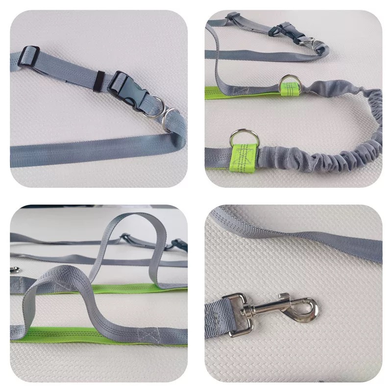 Reflective Bungee Dog Leash fo - đánh giá và giá Bungee Dog Leash Shock Absorbing
