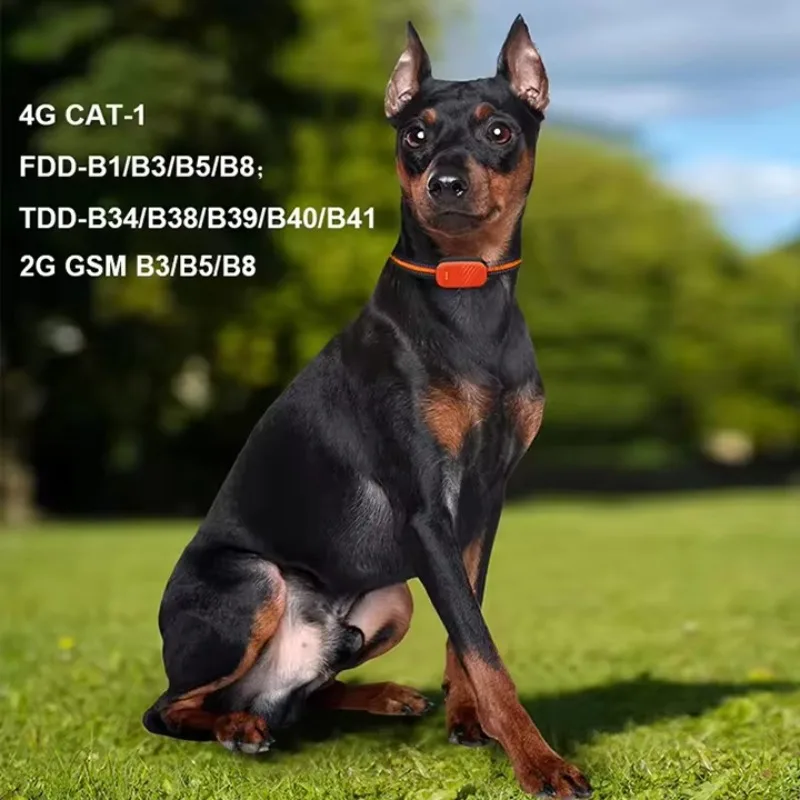 CANBOUN Best Selling Waterproo - đánh giá và giá Dog Gps Tracker Collar 4G Waterproof