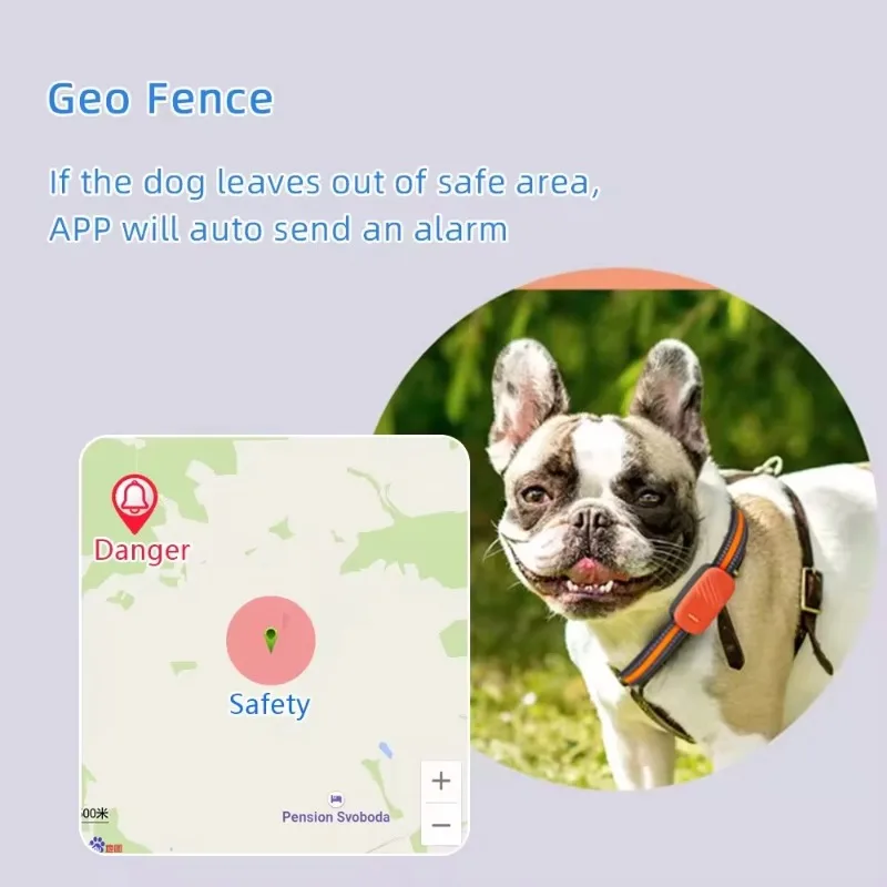 CANBOUN Best Selling Waterproo - đánh giá và giá Dog Gps Tracker Collar 4G Waterproof
