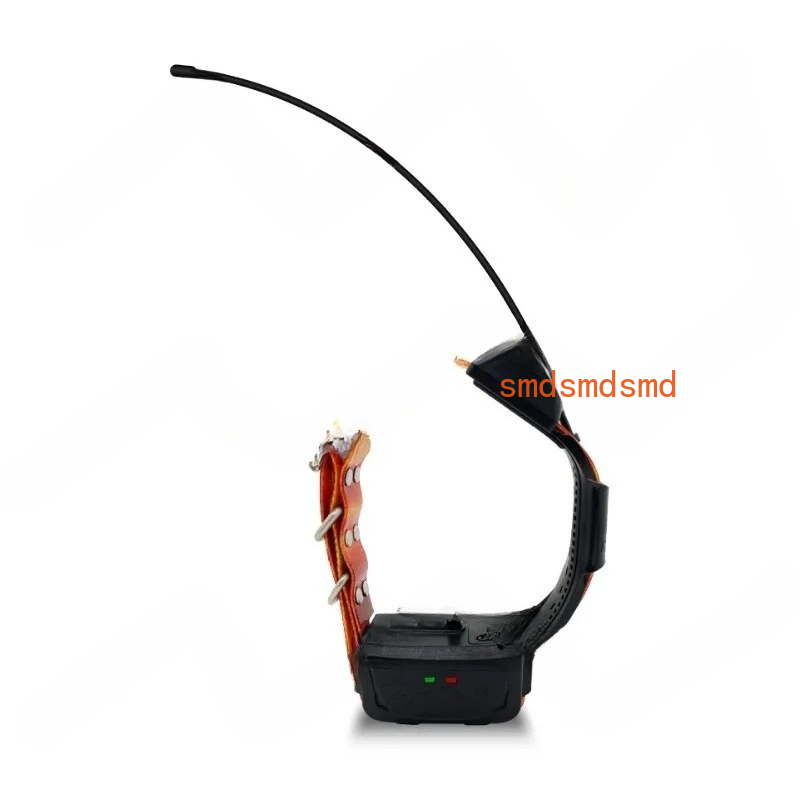 Waterproof Pet tracker WiFi 4G - đánh giá và giá Dog Gps Tracker Collar 4G Waterproof