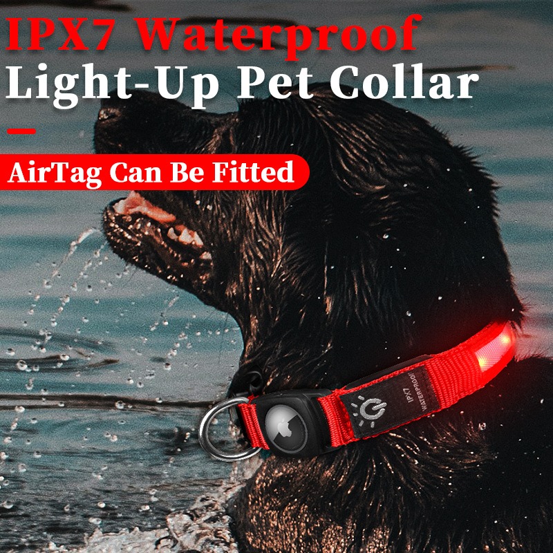 Popular USB Rechargeable LED G - đánh giá và giá Led Dog Collar Glowing Rechargeable Usb