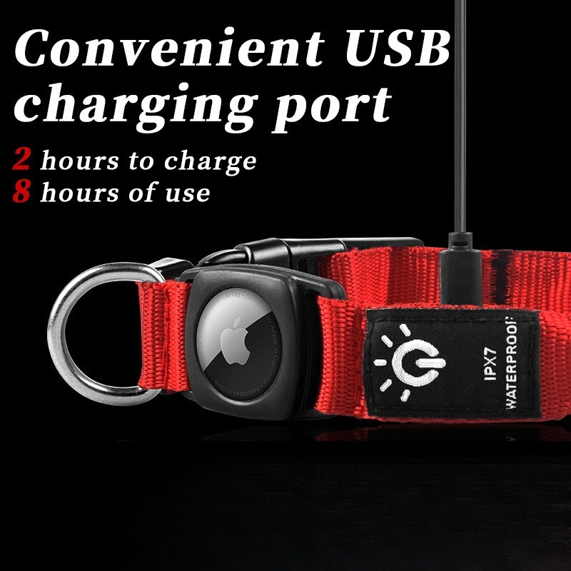 Popular USB Rechargeable LED G - đánh giá và giá Led Dog Collar Glowing Rechargeable Usb