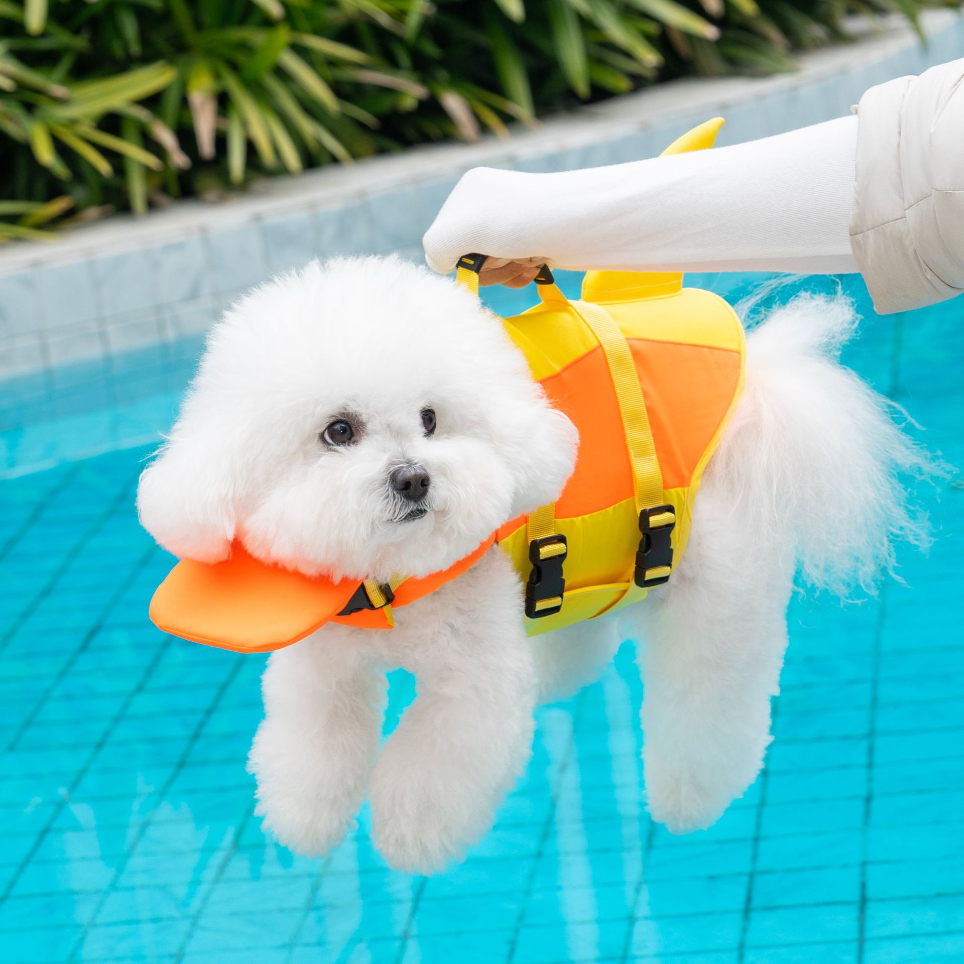 Cute Shark Dog Life Jacket wit - đánh giá và giá Dog Life Jacket Vest Buoyancy Handle