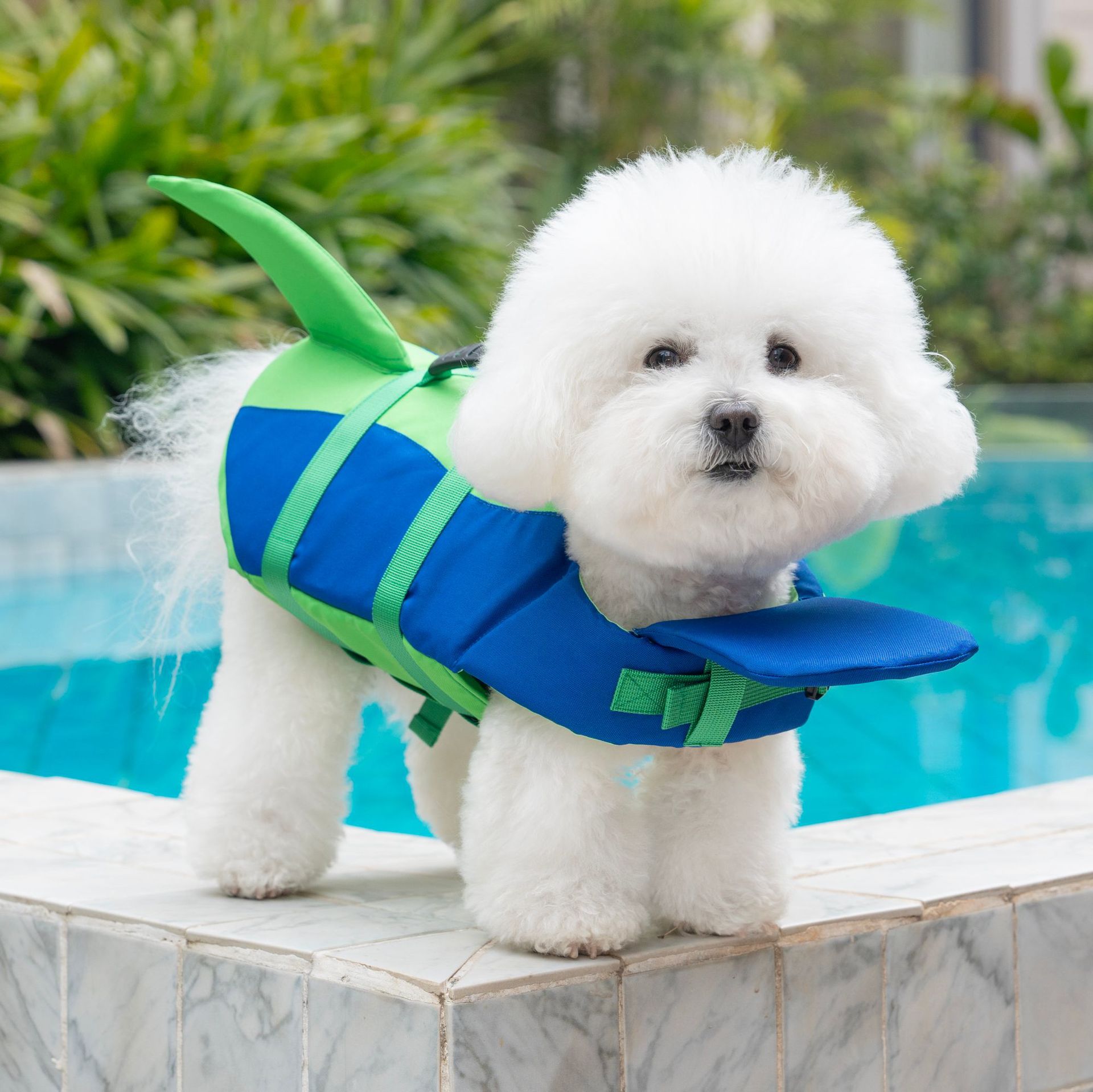 Cute Shark Dog Life Jacket wit - đánh giá và giá Dog Life Jacket Vest Buoyancy Handle