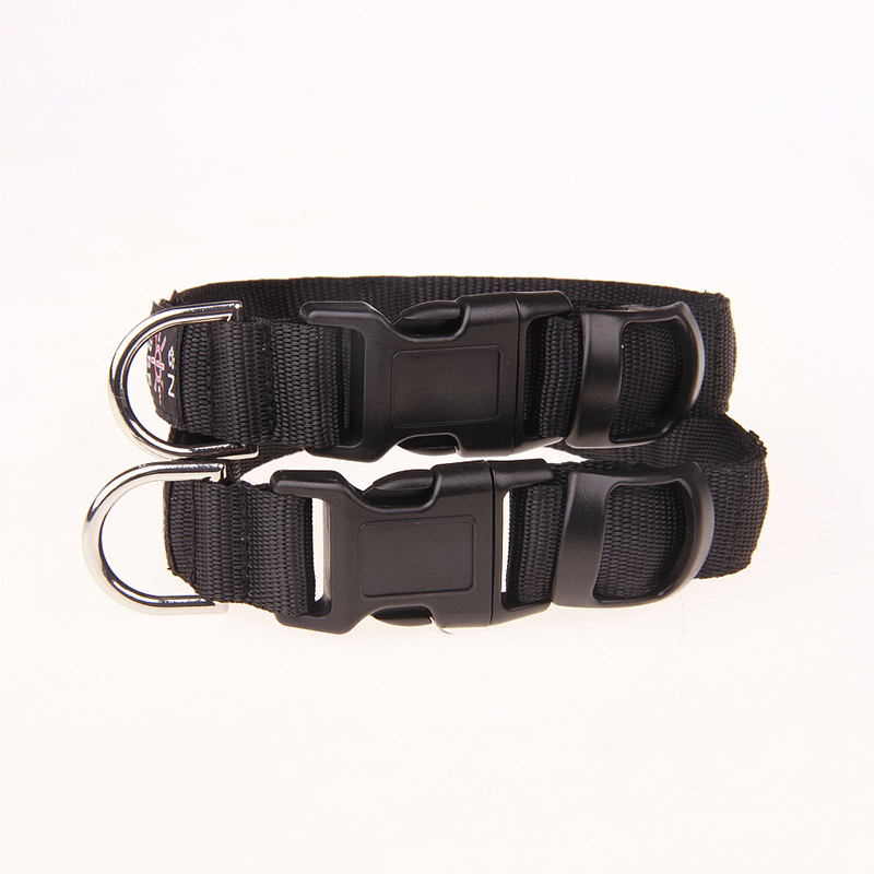 Pinkycolor Đèn LED Sạc Cổng US - đánh giá và giá Led Dog Collar Glowing Rechargeable Usb