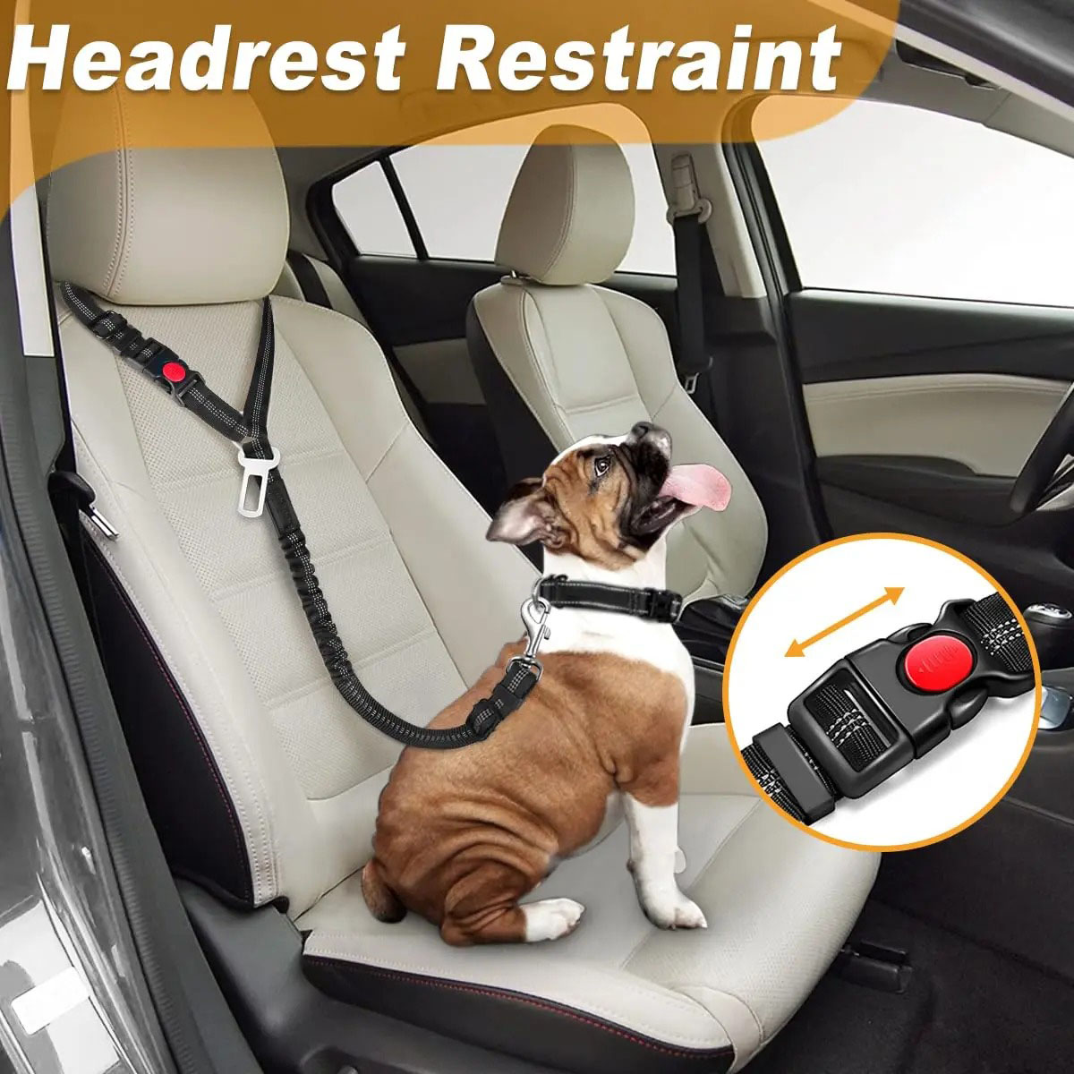 2in1 Dog Seat Belt Harness Adj - đánh giá và giá Bungee Dog Leash Shock Absorbing
