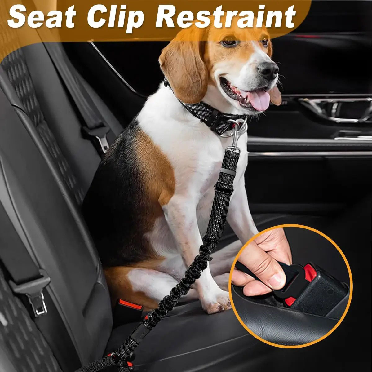 2in1 Dog Seat Belt Harness Adj - đánh giá và giá Bungee Dog Leash Shock Absorbing