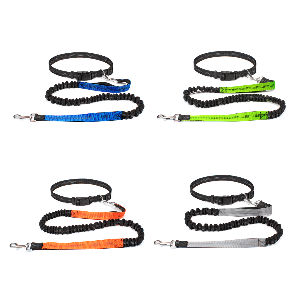 Hand Free Dog Leash for Pet Wa - đánh giá và giá Hands Free Dog Running Leash Waist Belt