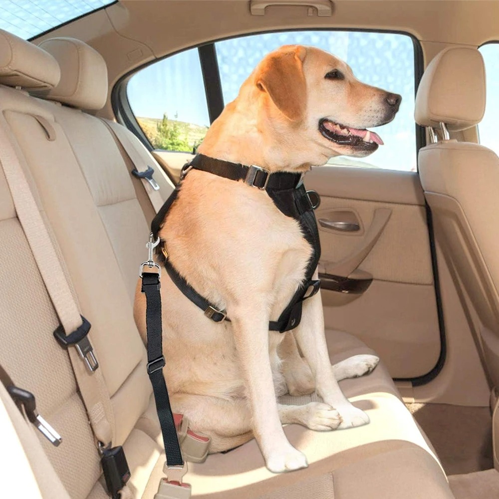1PC Adjustable Nylon Dog Car S - đánh giá và giá Dog Seat Belt Harness Safety Tether