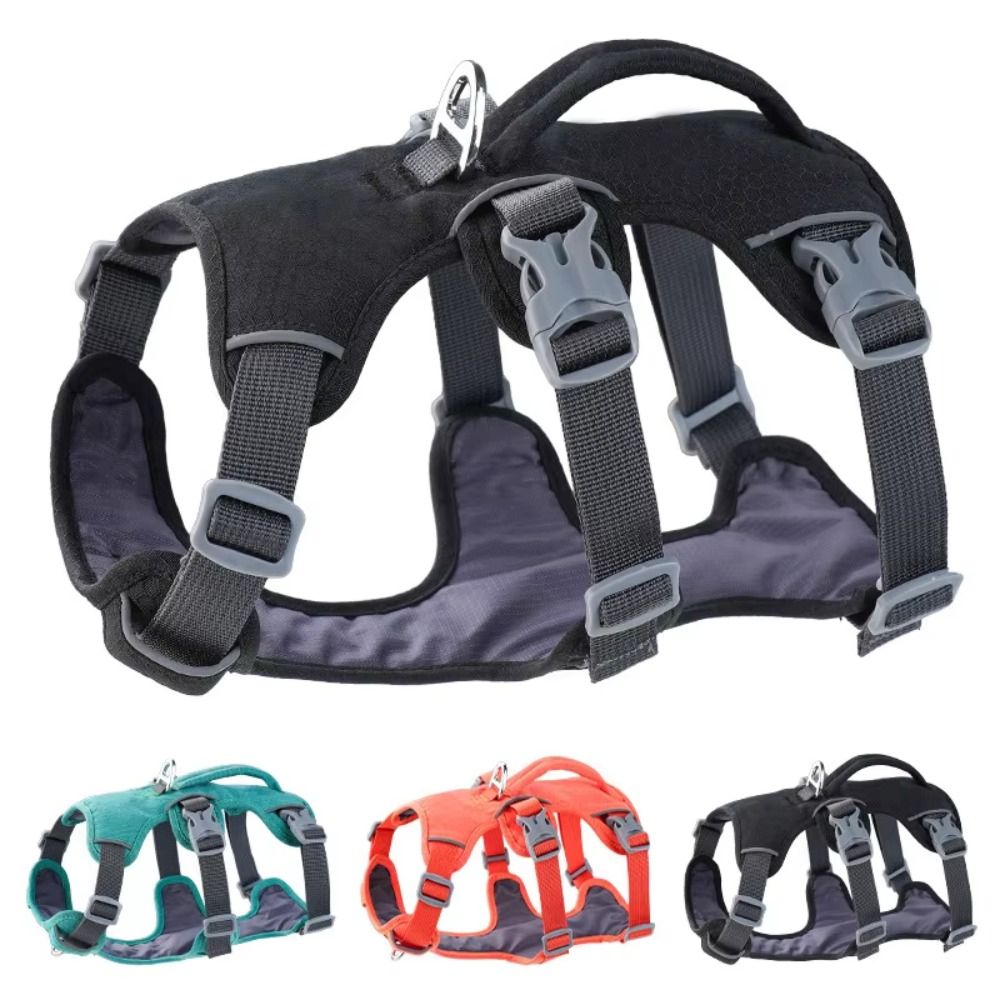 Áo khoác phản quang cho chó, c - đánh giá và giá Bungee Dog Leash Shock Absorbing