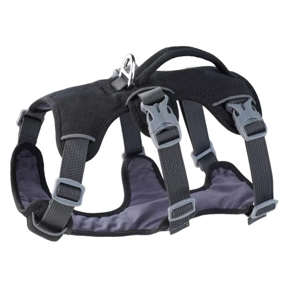 Áo khoác phản quang cho chó, c - đánh giá và giá Bungee Dog Leash Shock Absorbing