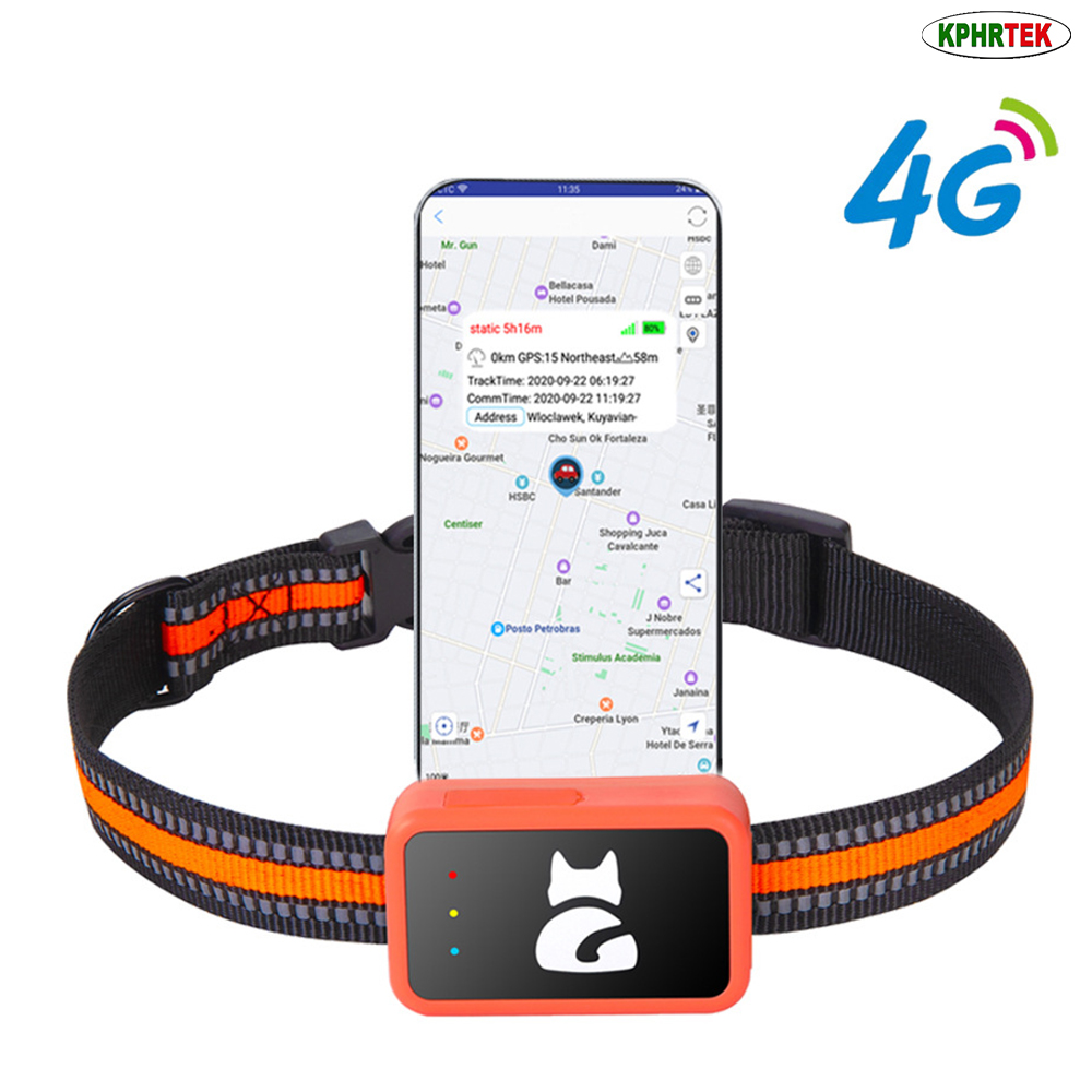 G68P 4G GPS Pet Tracker for Do - đánh giá và giá Pet Activity Health Monitor Tracker