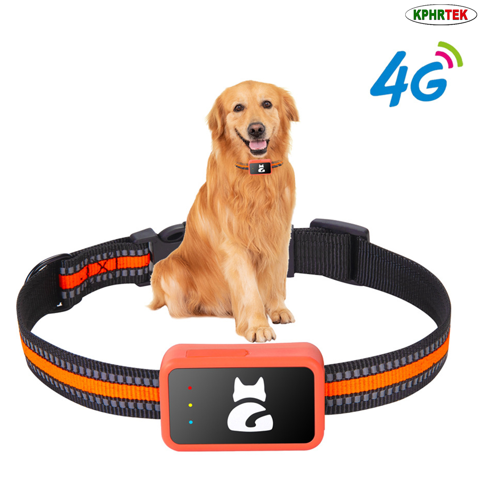 G68P 4G GPS Pet Tracker for Do - đánh giá và giá Pet Activity Health Monitor Tracker