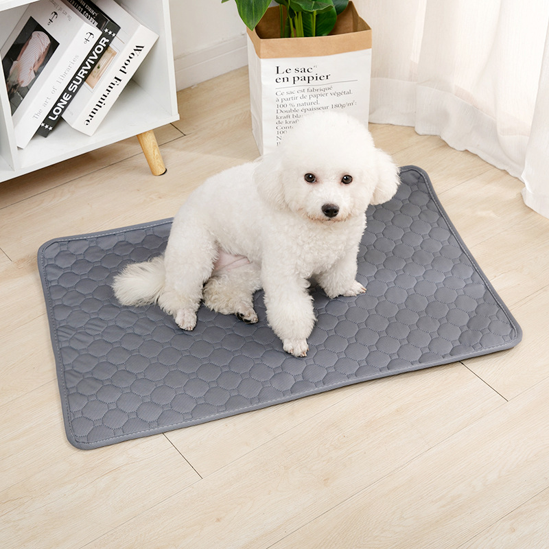 Tấm lót vệ sinh cho chó có thể - đánh giá và giá Dog Car Seat Cover Waterproof Back Seat