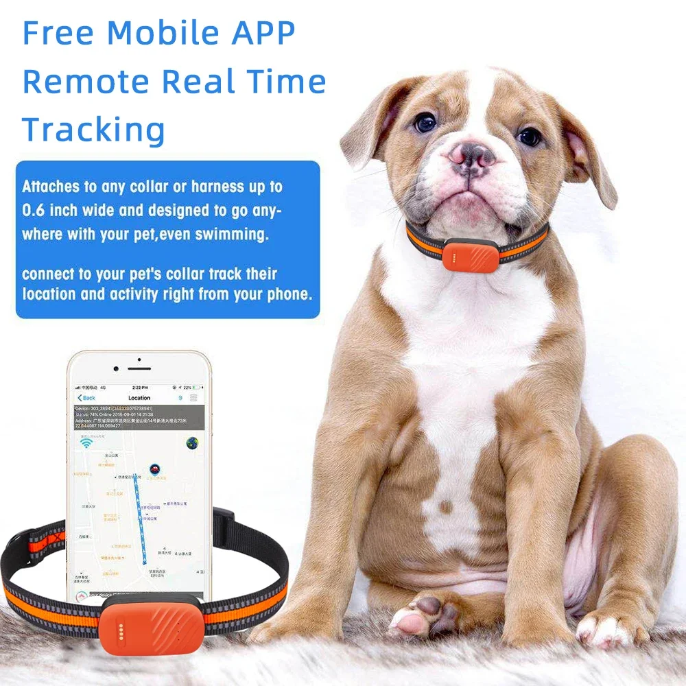 4G Pet Collar GPS Tracker Elec - đánh giá và giá Dog Gps Tracker Collar 4G Waterproof