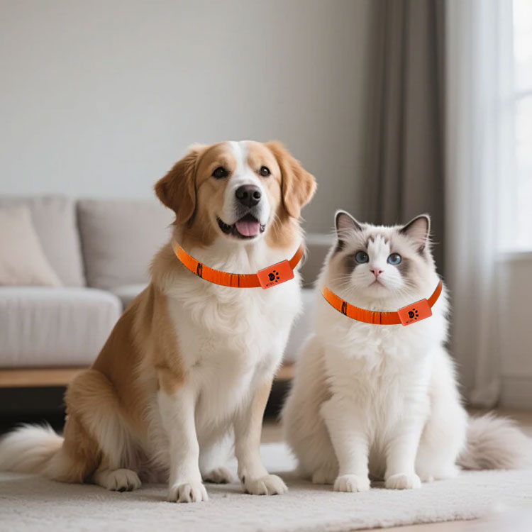 Pet Activity Monitor Tracker M - đánh giá và giá Pet Activity Health Monitor Tracker
