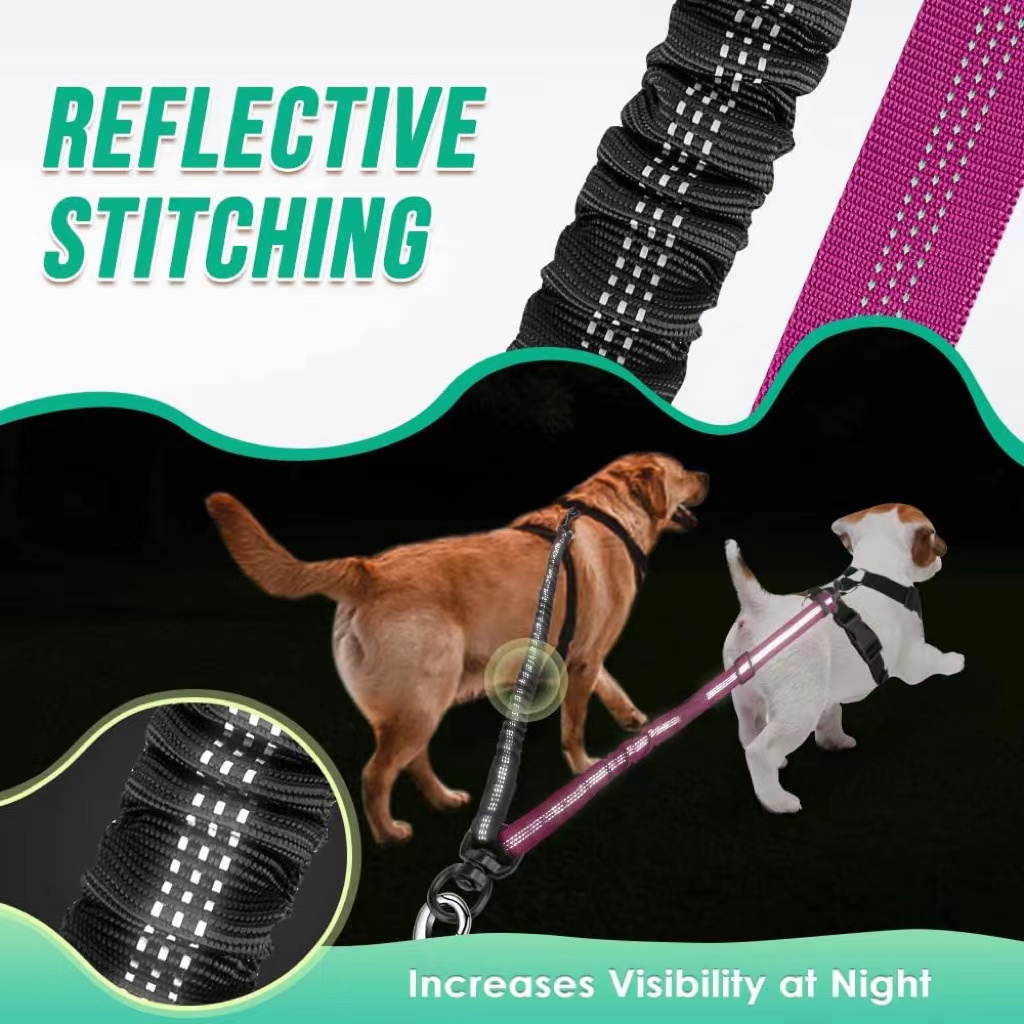 Two Dog Lead, 2 in 1 Upgraded  - đánh giá và giá Bungee Dog Leash Shock Absorbing