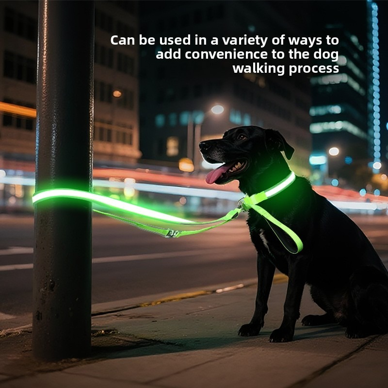 Enhanced Visibility USB Rechar - đánh giá và giá Led Dog Collar Glowing Rechargeable Usb