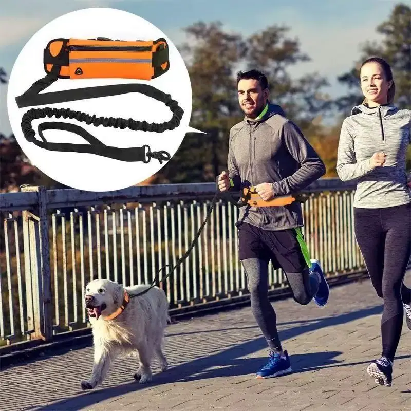 Hands Free Dog Leash Reflectiv - đánh giá và giá Hands Free Dog Running Leash Waist Belt