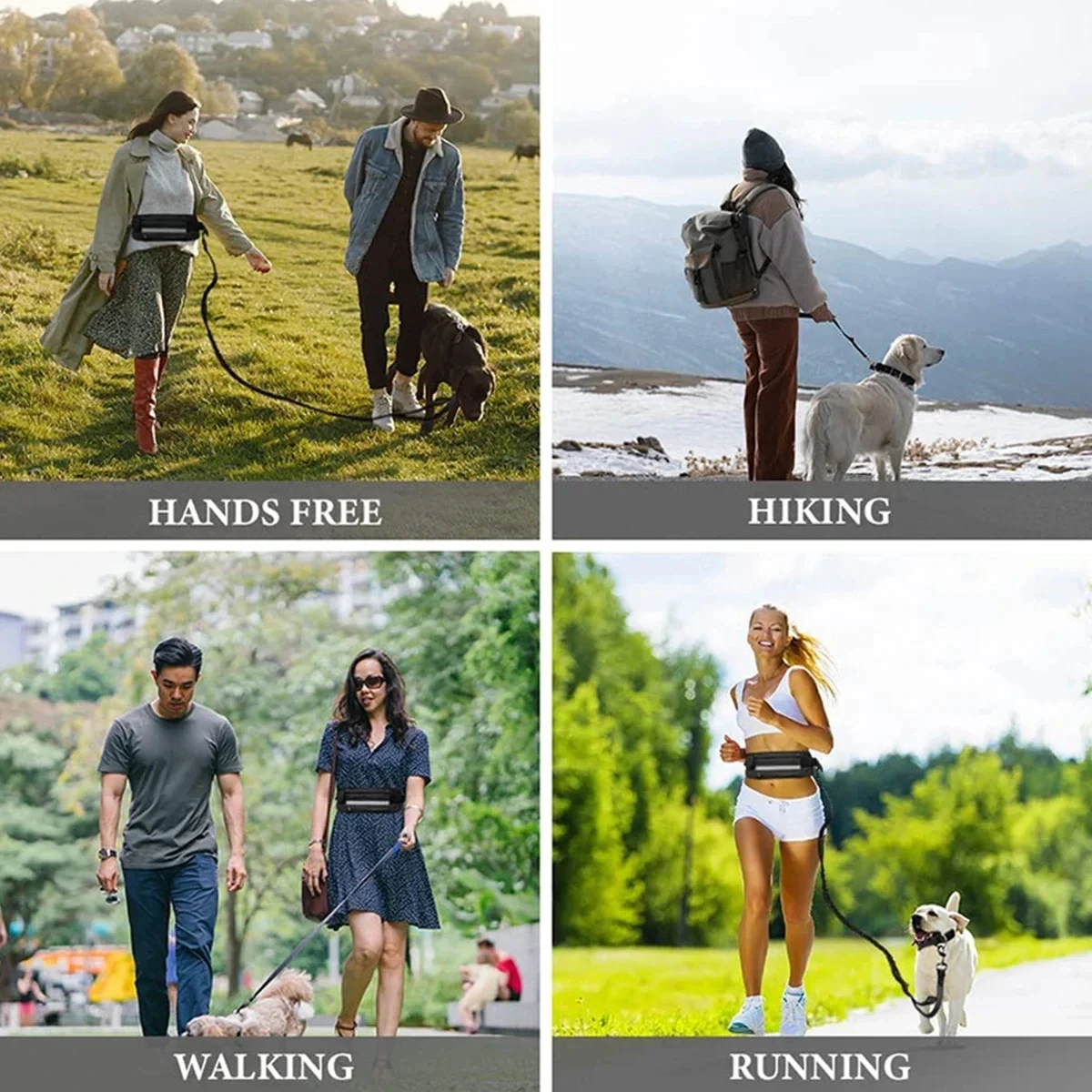 Hands Free Dog Leash Reflectiv - đánh giá và giá Hands Free Dog Running Leash Waist Belt