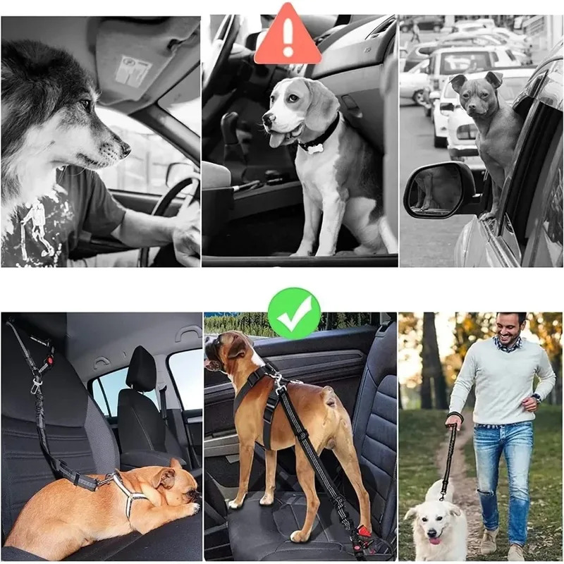 2-in-1 Adjustable Reflective D - đánh giá và giá Dog Seat Belt Harness Safety Tether