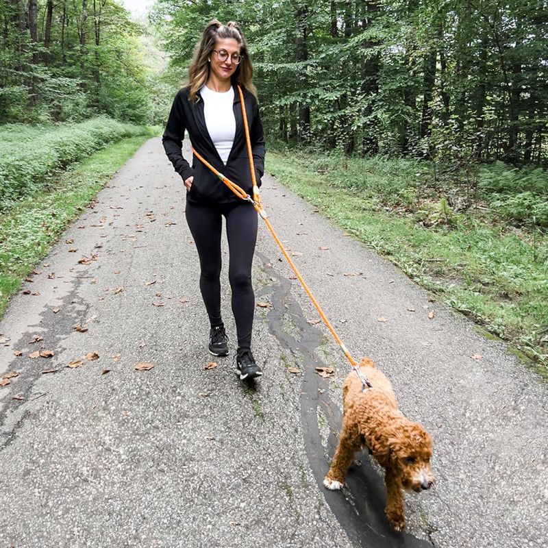Adjustable Hands-Free Dog Leas - đánh giá và giá Hands Free Dog Running Leash Waist Belt