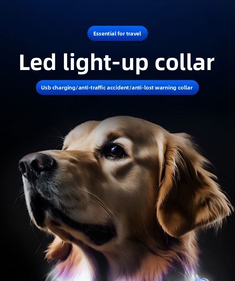 Glowing Dog Collar LED Light F - đánh giá và giá Led Dog Collar Glowing Rechargeable Usb