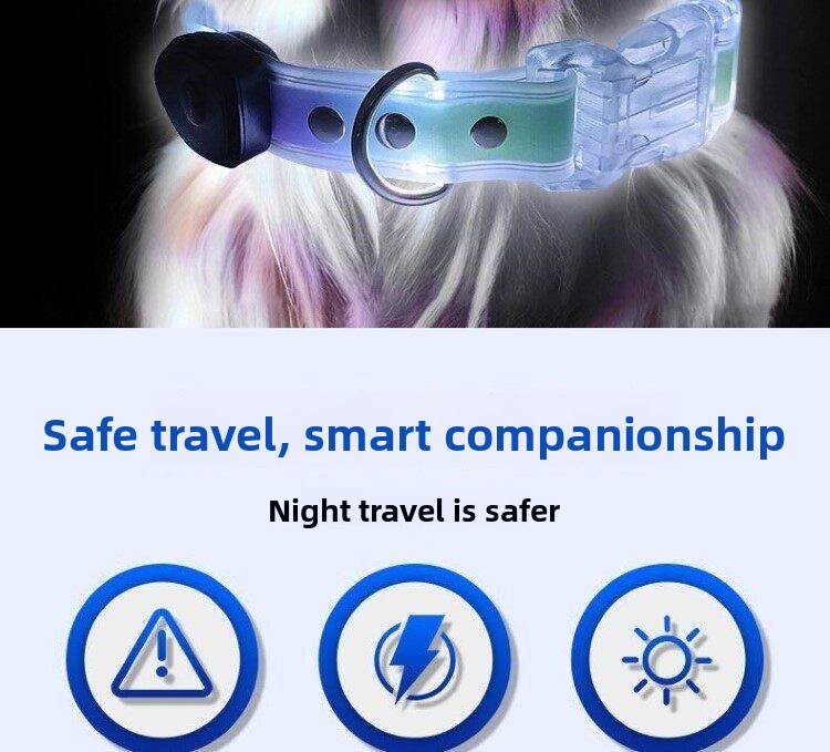 Glowing Dog Collar LED Light F - đánh giá và giá Led Dog Collar Glowing Rechargeable Usb