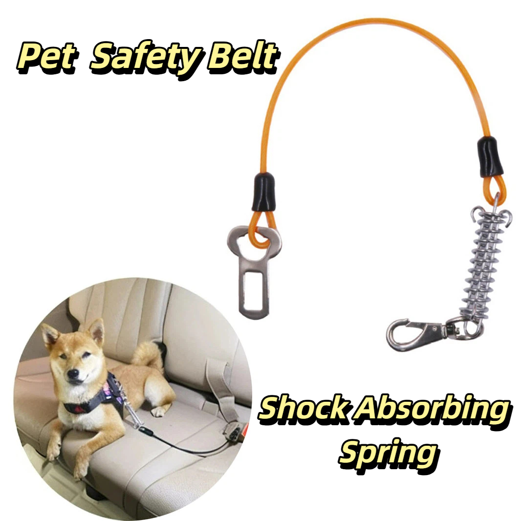 Chew-Proof Pet Car Safety Belt - đánh giá và giá Bungee Dog Leash Shock Absorbing