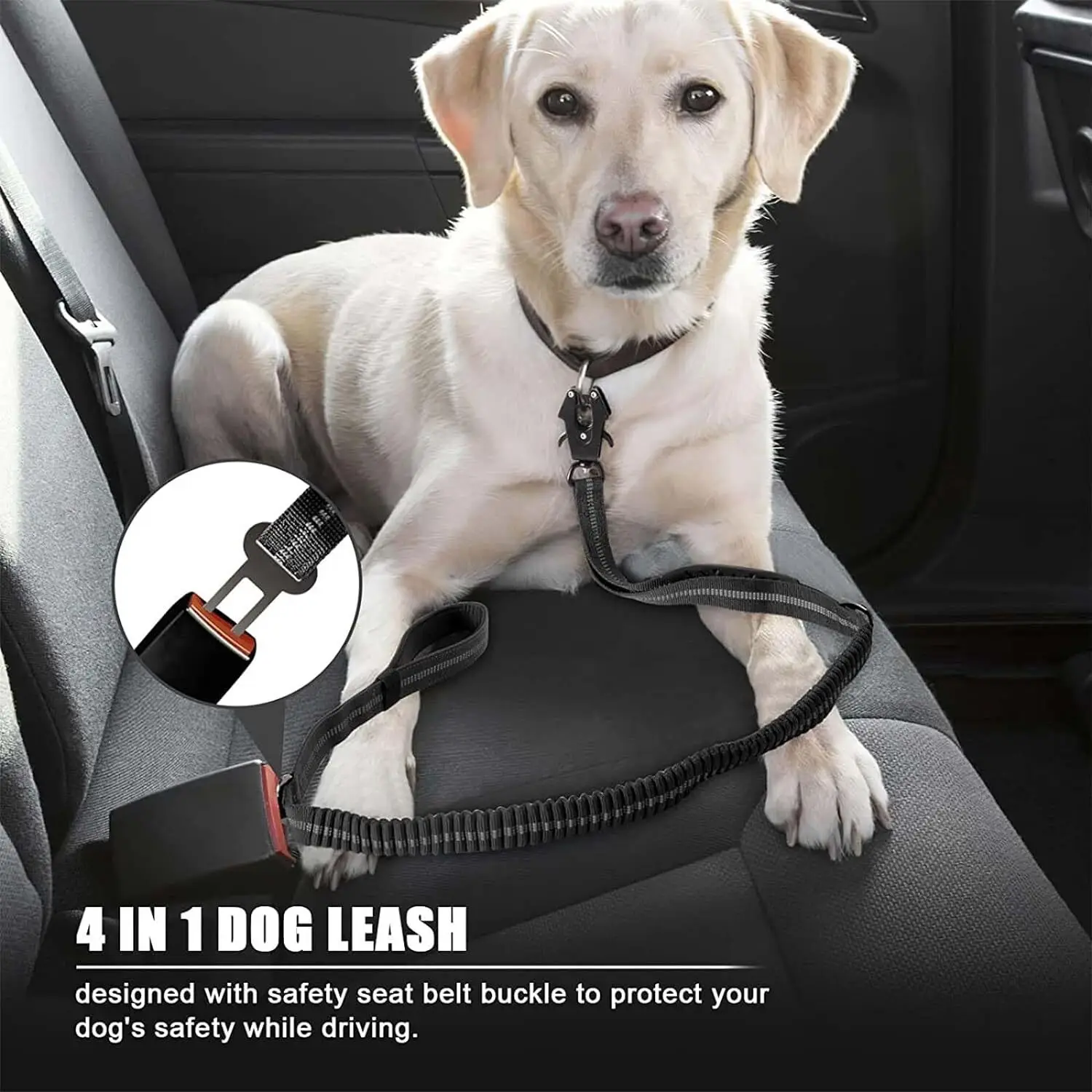 Reflective Shock Absorbing Dog - đánh giá và giá Bungee Dog Leash Shock Absorbing