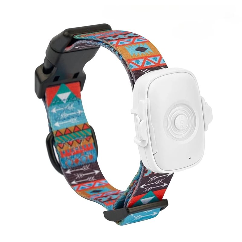 【MUST-HAVE】Real Time Tracking  - đánh giá và giá Dog Gps Tracker Collar 4G Waterproof