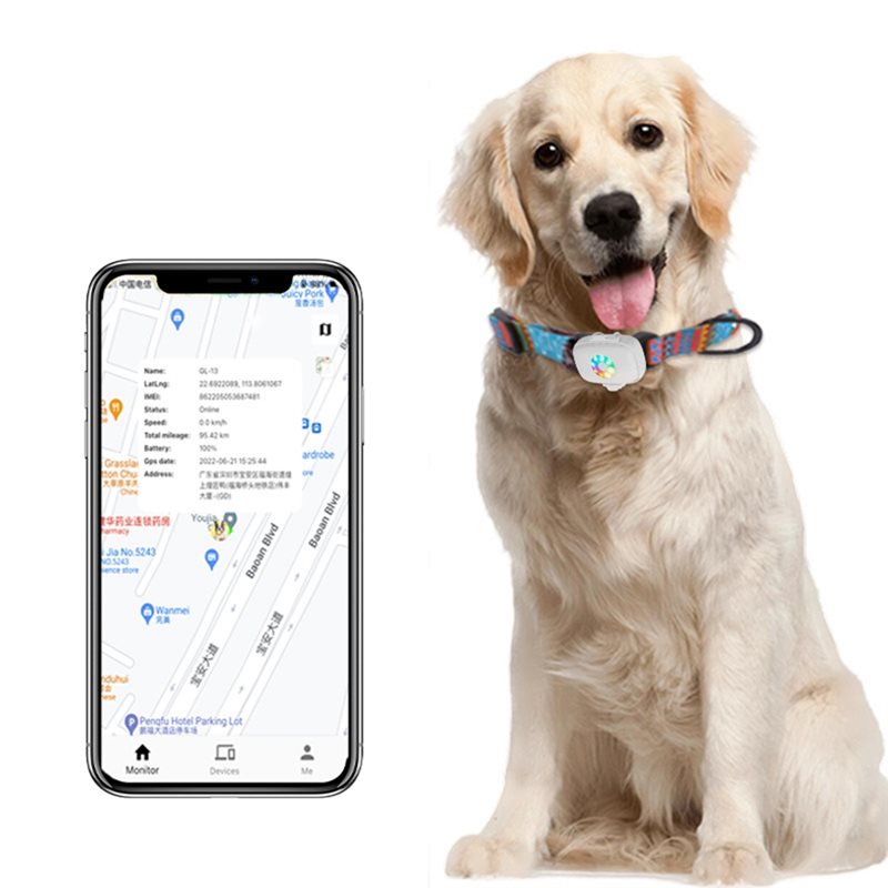 【MUST-HAVE】Real Time Tracking  - đánh giá và giá Dog Gps Tracker Collar 4G Waterproof