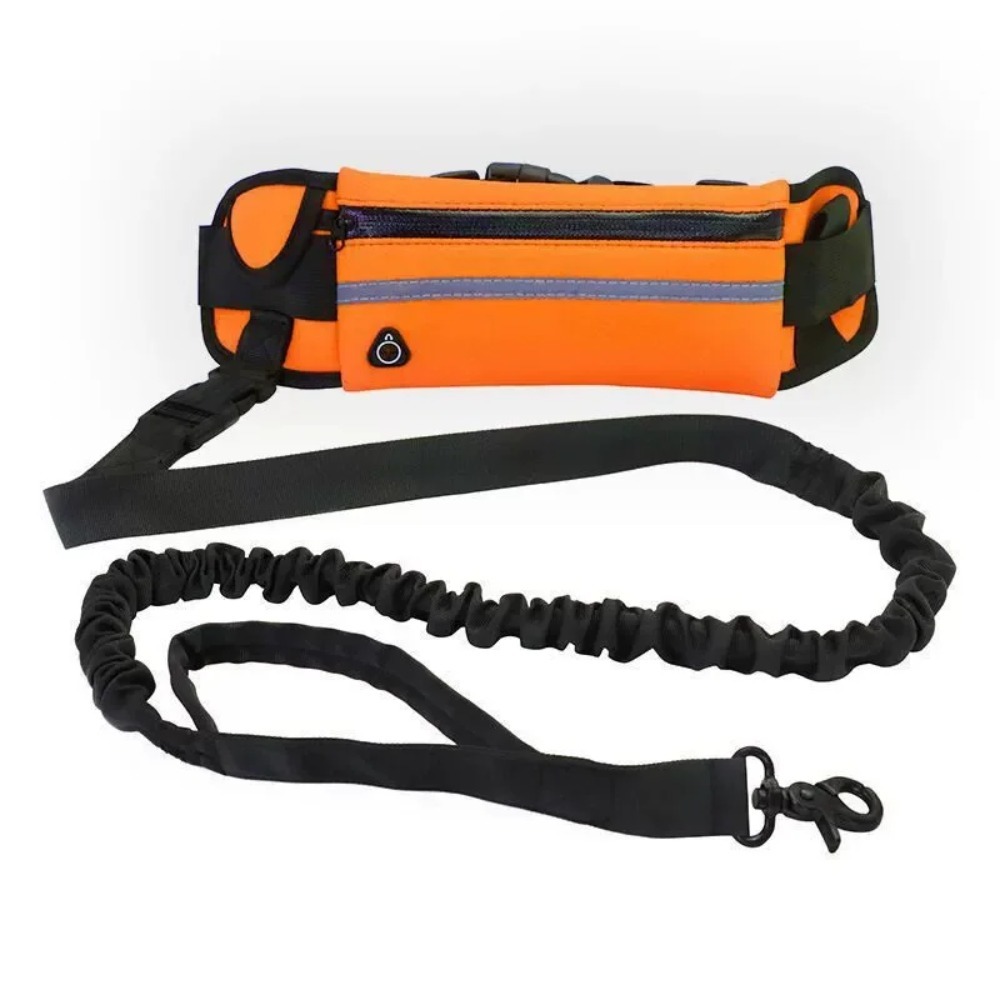 Hands Free Dog Leash for Runni - đánh giá và giá Hands Free Dog Running Leash Waist Belt