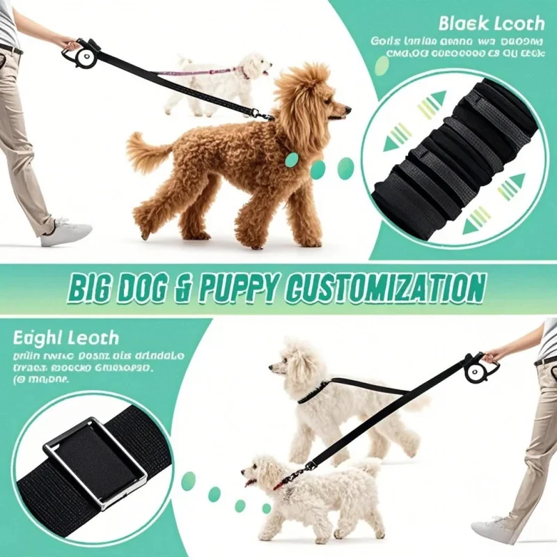 Shock Absorbing Bungee Dual Do - đánh giá và giá Bungee Dog Leash Shock Absorbing